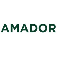 Amador Holdings